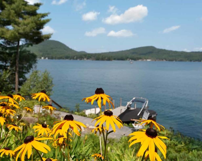 Realtor & Homes for Sale in Marlette, MI Hart Realty